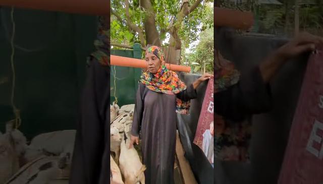 KENYA: EID AL-ADHA QURBAN